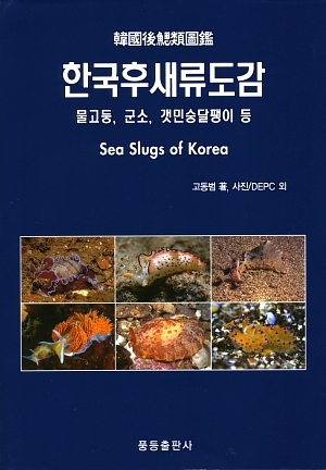 Sea Slugs of Korea