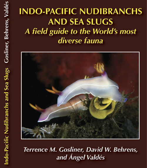 Indo-Pacific Nudibranchs and Sea Slugs