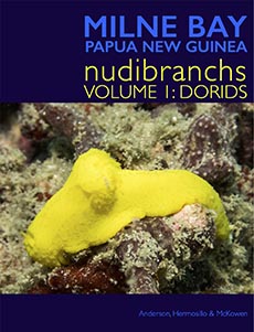 Milne Bay Nudibranchs: Vol 1