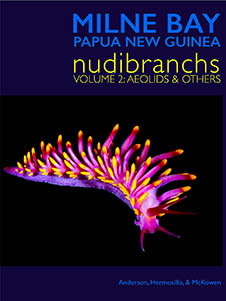 Milne Bay Nudibranchs: Vol 2